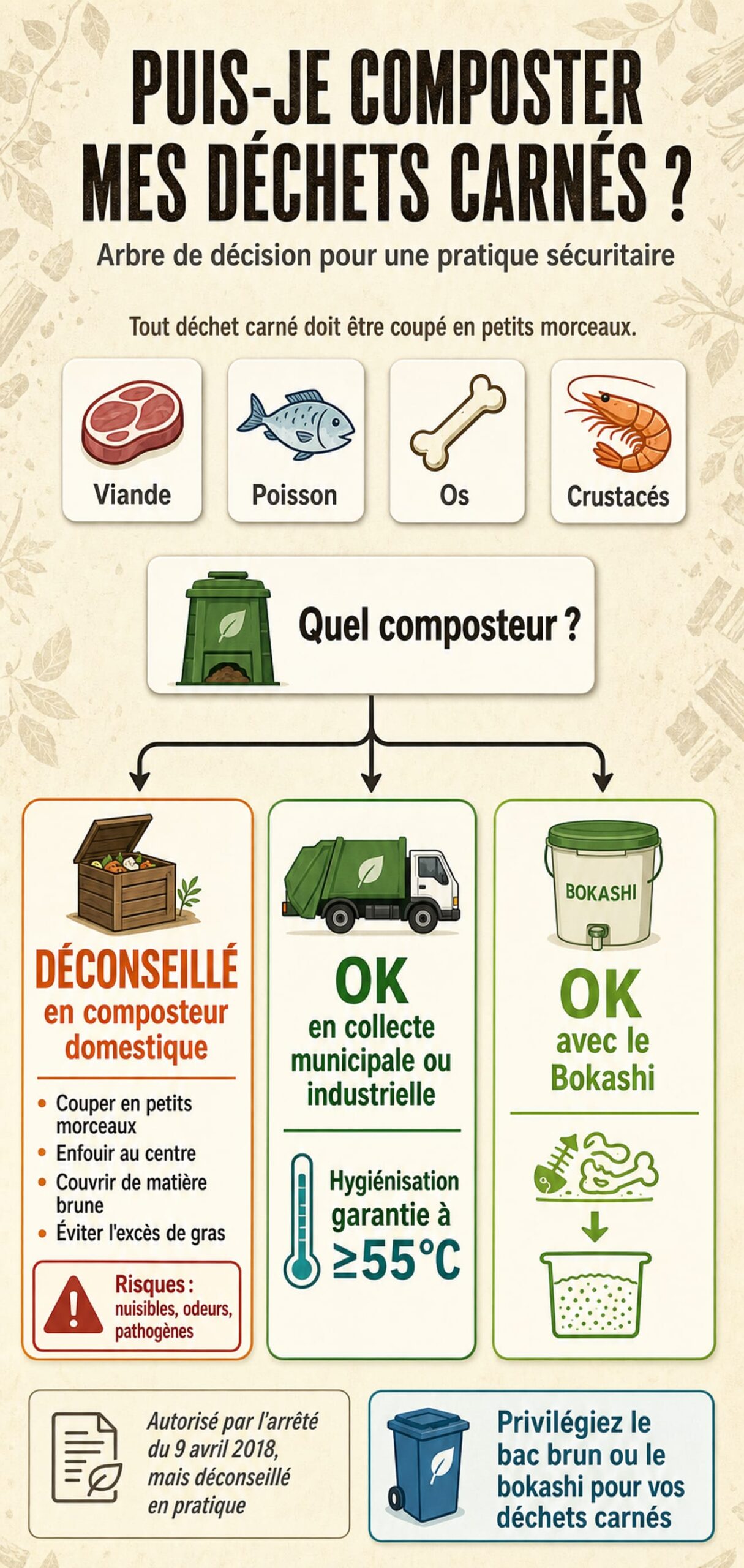 Infographie arbre de décision pour composter les déchets carnés : viande, poisson, os et crustacés, avec recommandations pour composteur domestique, bac brun municipal et bokashi